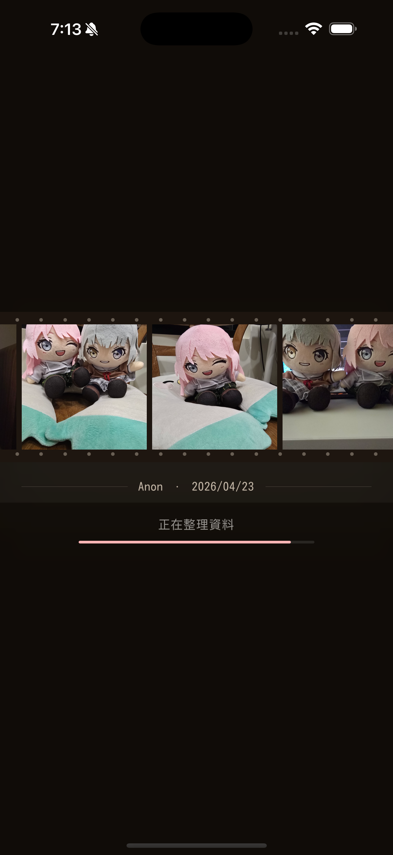 NuiDiary が写真を整理している画面